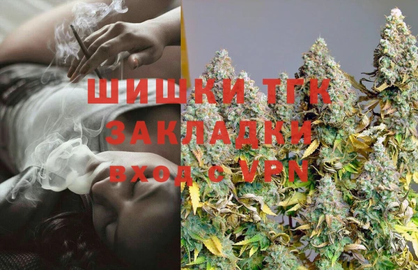 jwh Снежногорск