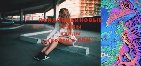 дурь Алзамай