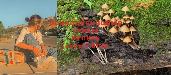 соль курить ск Алексин